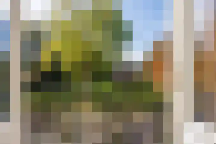 Hereweg 8 Eenrum thumbnail 48
