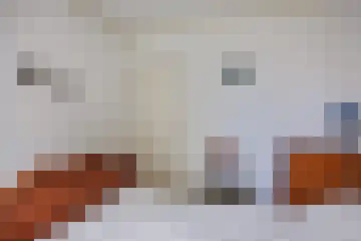 Hereweg 8 Eenrum thumbnail 49
