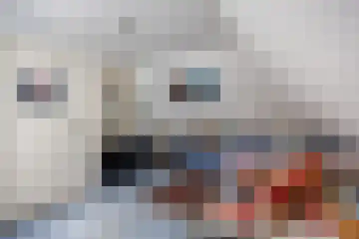 Hereweg 8 Eenrum thumbnail 53