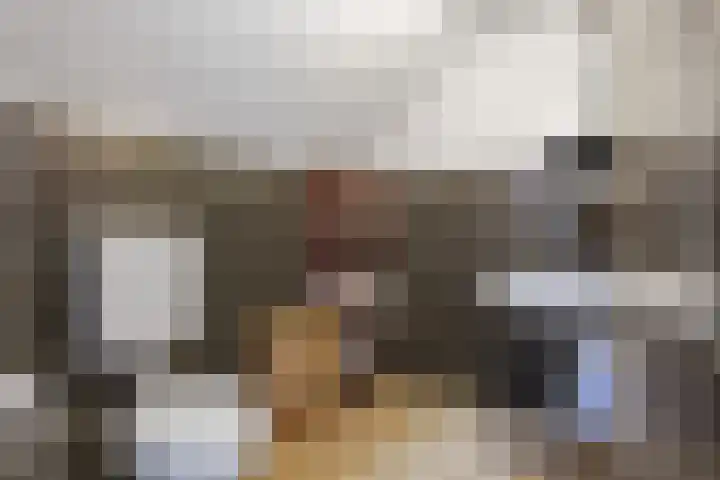 Hereweg 8 Eenrum thumbnail 56