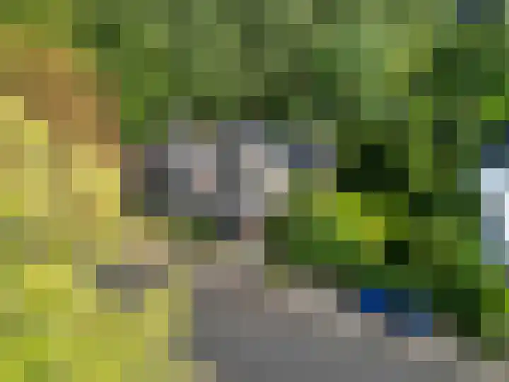 Hereweg 8 Eenrum thumbnail 60