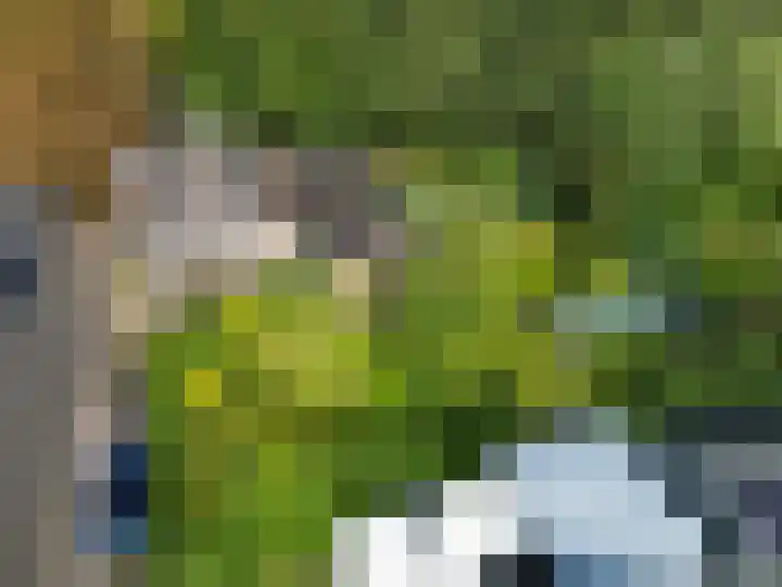 Hereweg 8 Eenrum thumbnail 61