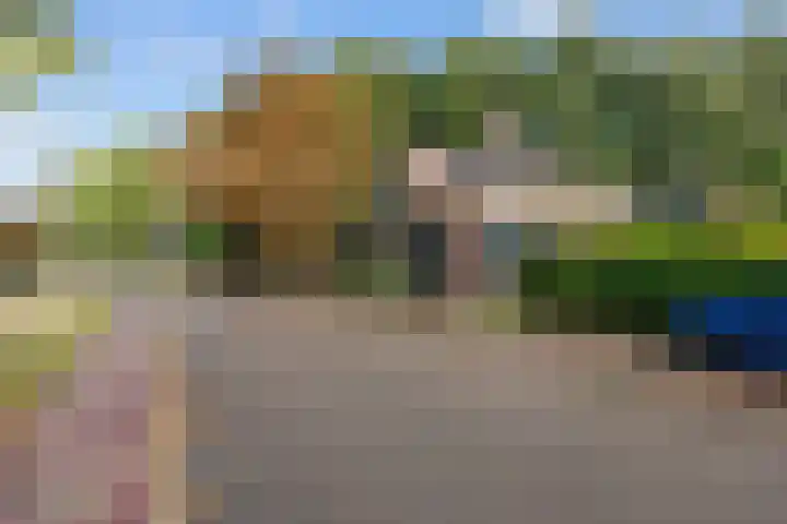 Hereweg 8 Eenrum thumbnail 62