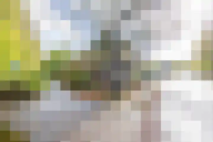 Hereweg 8 Eenrum thumbnail 63