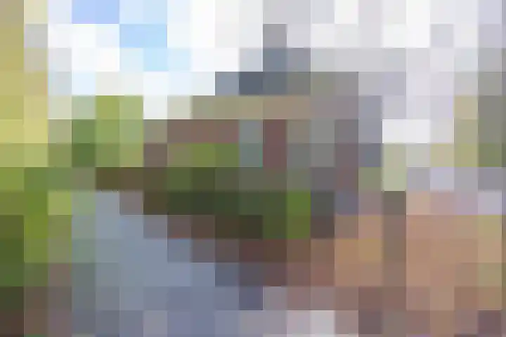 Hereweg 8 Eenrum thumbnail 64