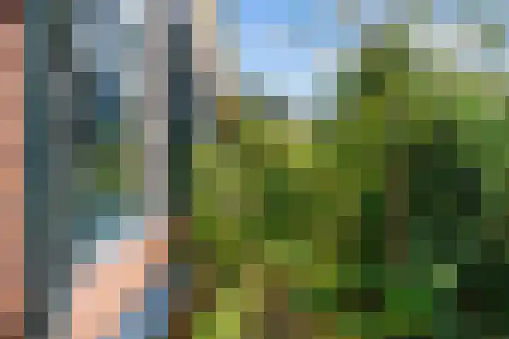Hereweg 8 Eenrum thumbnail 66