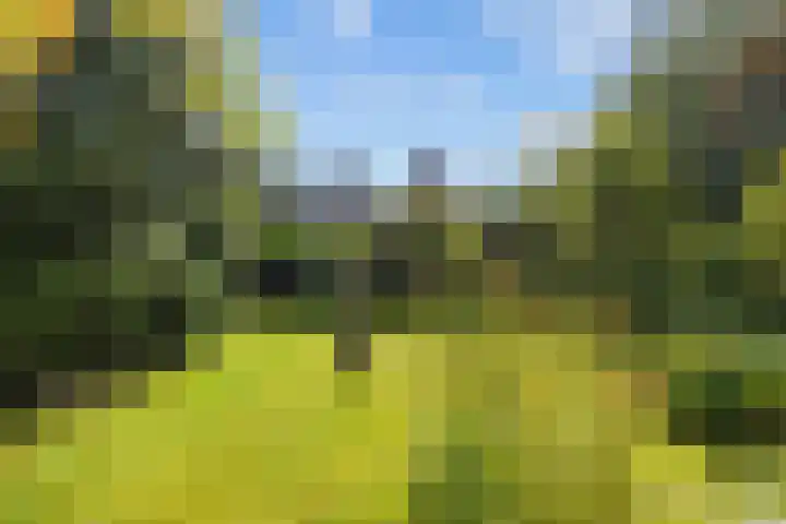 Hereweg 8 Eenrum thumbnail 67