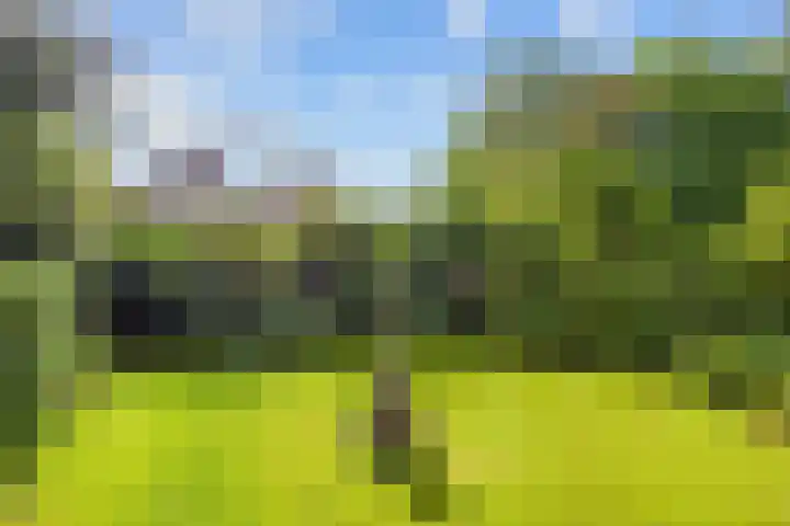 Hereweg 8 Eenrum thumbnail 68