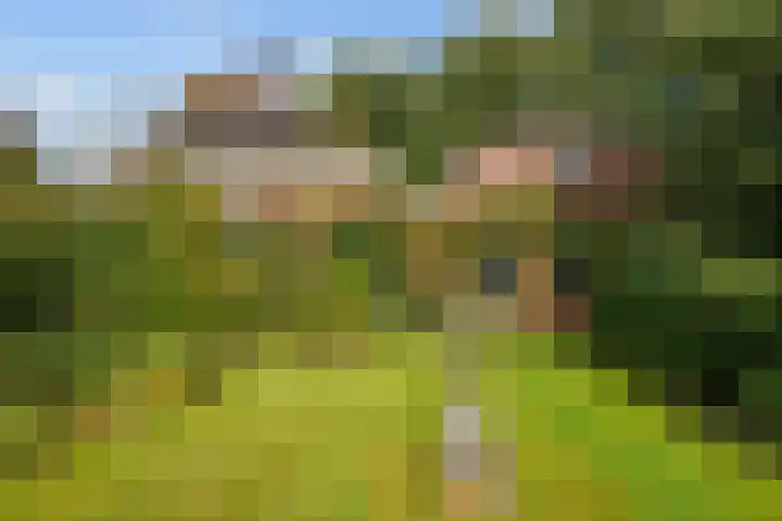 Hereweg 8 Eenrum thumbnail 69