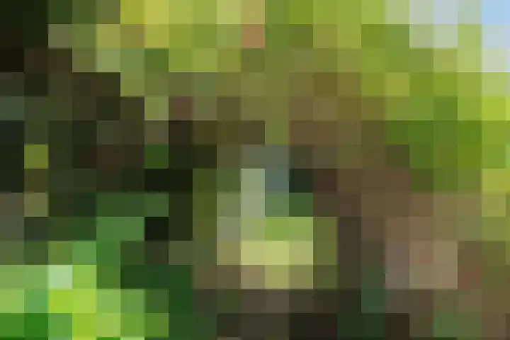 Hereweg 8 Eenrum thumbnail 70