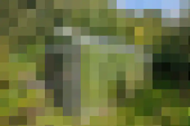 Hereweg 8 Eenrum thumbnail 71