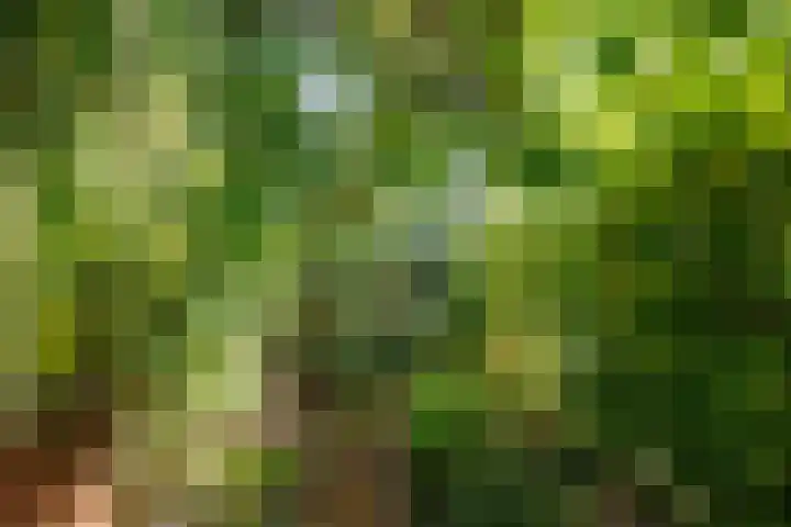 Hereweg 8 Eenrum thumbnail 72