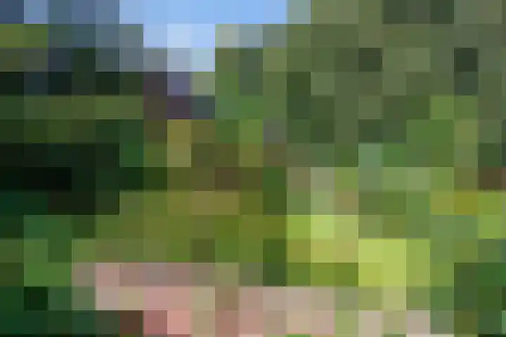 Hereweg 8 Eenrum thumbnail 73