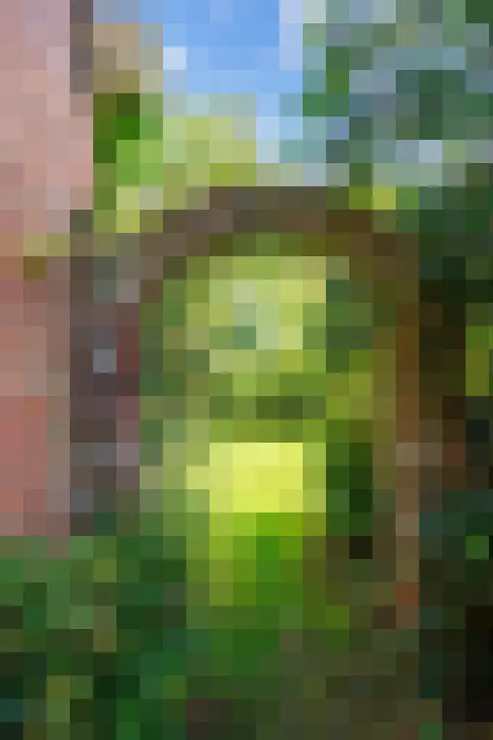 Hereweg 8 Eenrum thumbnail 74