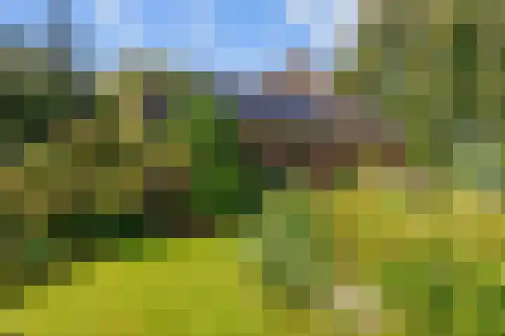Hereweg 8 Eenrum thumbnail 75