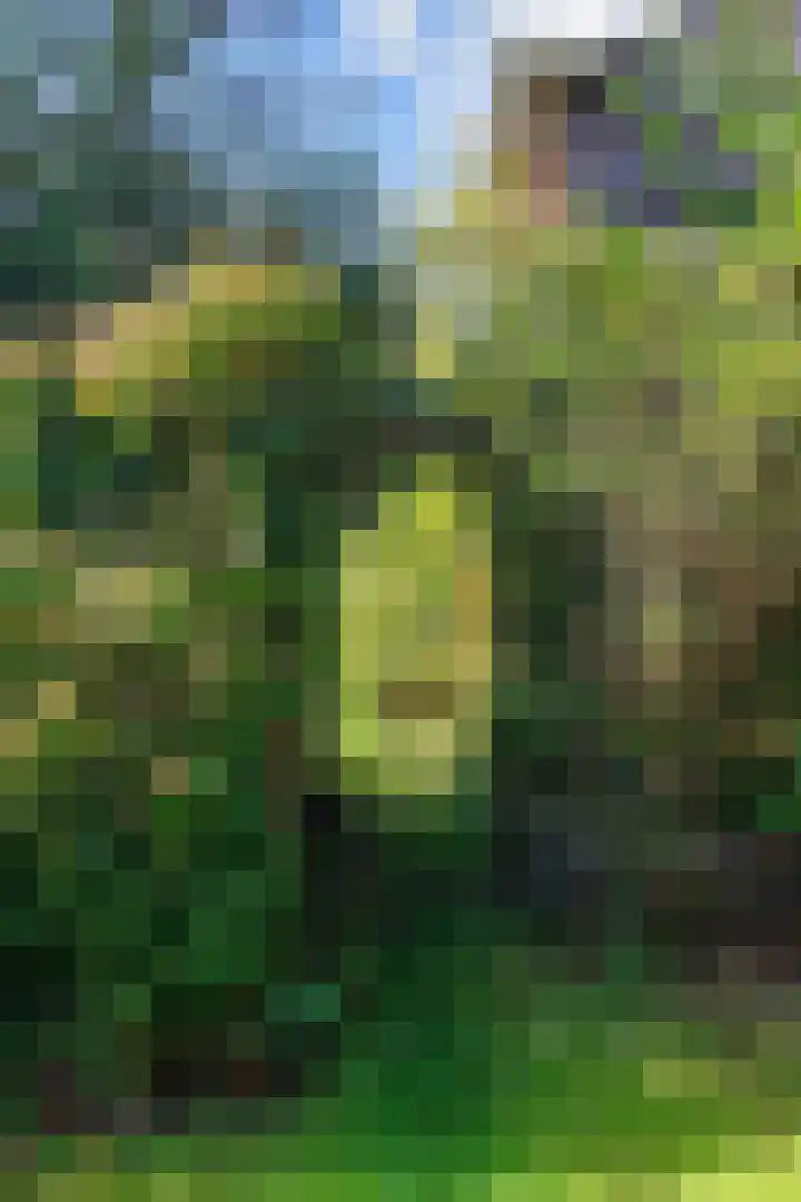 Hereweg 8 Eenrum thumbnail 76