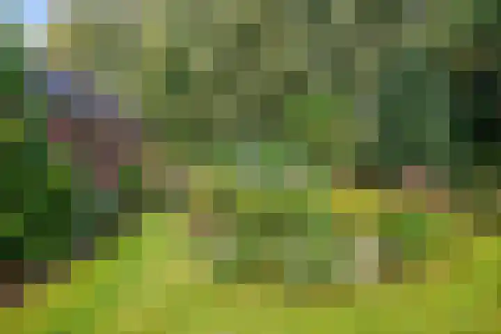 Hereweg 8 Eenrum thumbnail 77