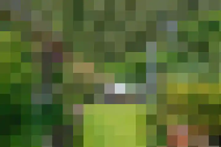 Hereweg 8 Eenrum thumbnail 78