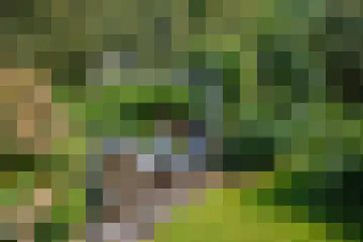 Hereweg 8 Eenrum thumbnail 79