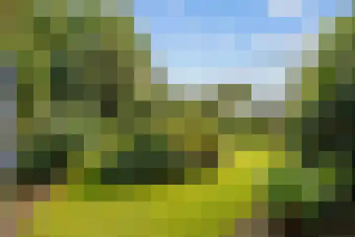 Hereweg 8 Eenrum thumbnail 80
