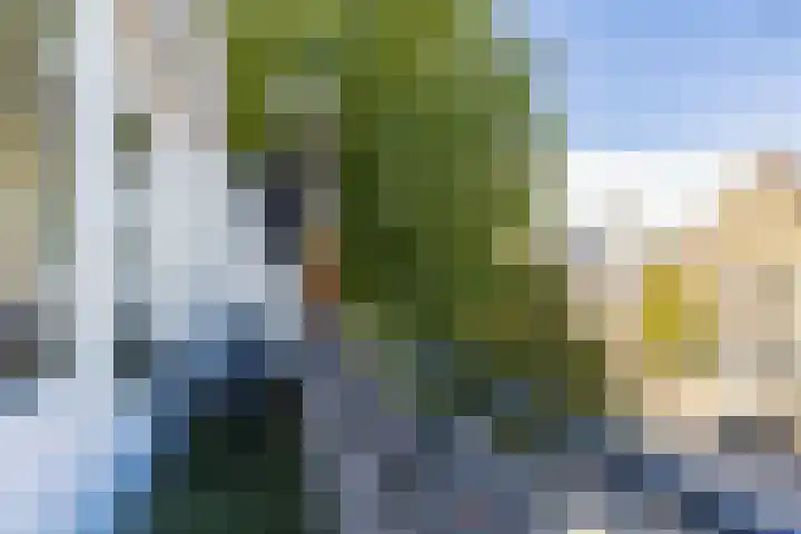 Hereweg 94 a Groningen thumbnail 55