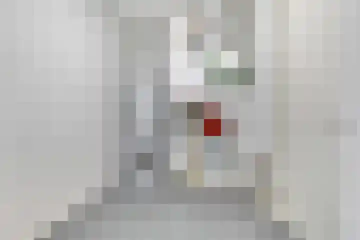 Hereweg 97 10 Groningen thumbnail 25