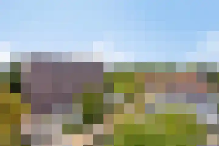 Hereweg 97 10 Groningen thumbnail 30