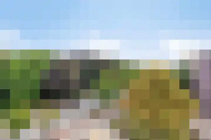 Hereweg 97 10 Groningen thumbnail 31