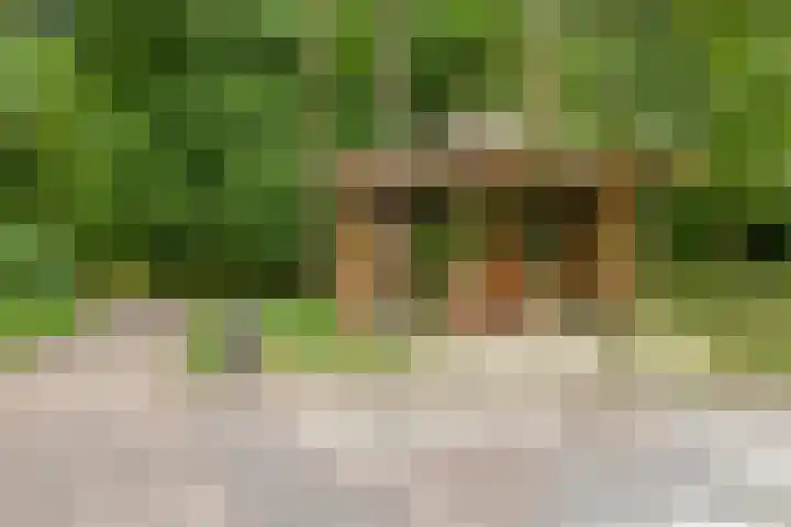 Hereweg 97 10 Groningen thumbnail 33