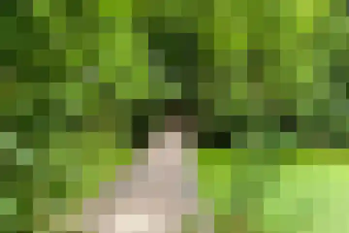 Hereweg 97 10 Groningen thumbnail 34