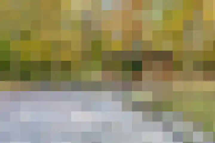 Hereweg 97 11 Groningen thumbnail 25