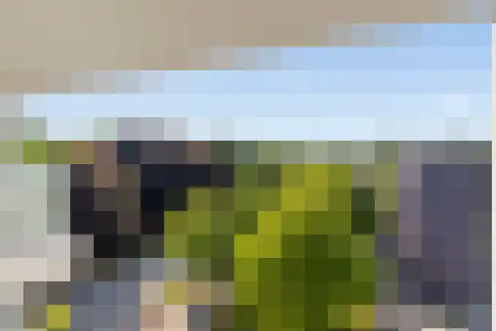 Hereweg 97 15 Groningen thumbnail 15