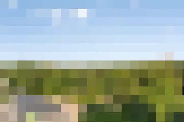 Hereweg 97 15 Groningen thumbnail 16