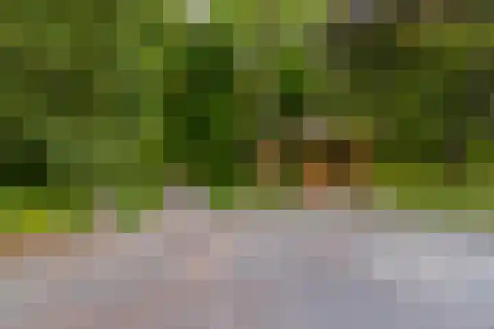 Hereweg 97 15 Groningen thumbnail 34