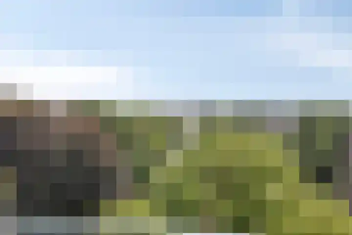 Hereweg 97 20 Groningen thumbnail 27