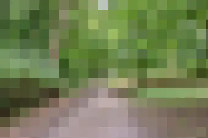 Hereweg 97 20 Groningen thumbnail 35