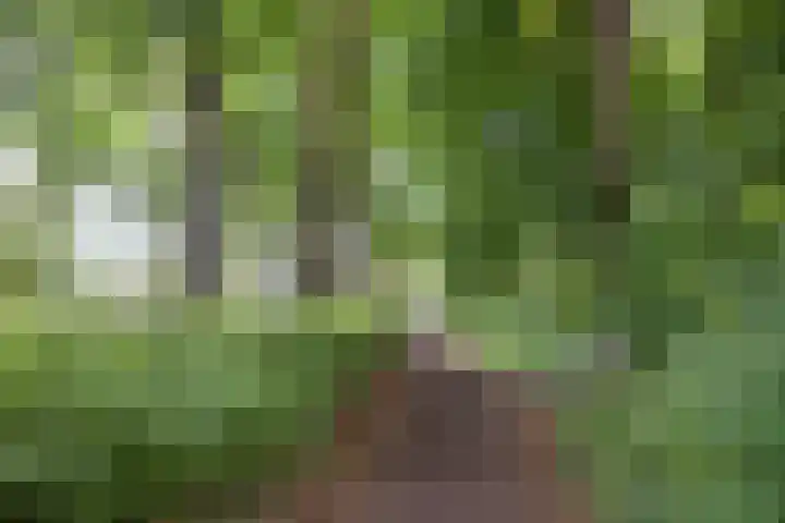 Hereweg 97 20 Groningen thumbnail 37