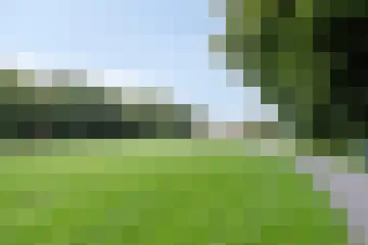 Hereweg 97 20 Groningen thumbnail 38