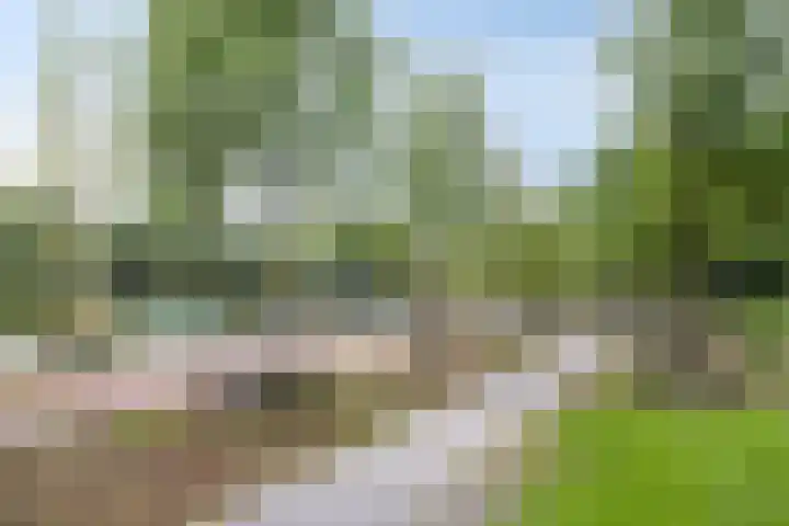 Hereweg 97 20 Groningen thumbnail 39