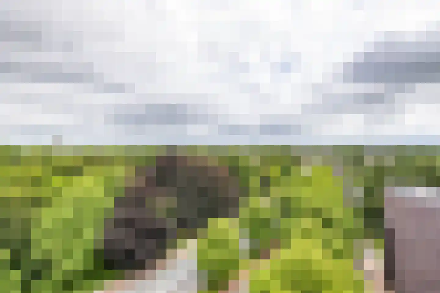 Hereweg 97 24 Groningen thumbnail 34
