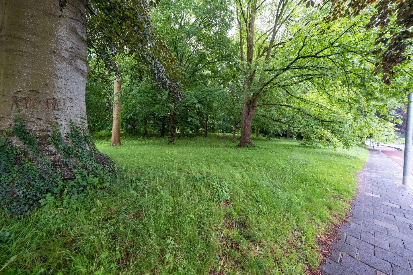 Hereweg 97 31 Groningen thumbnail 31