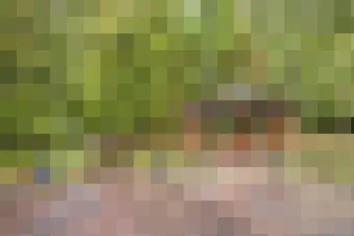Hereweg 97 32 Groningen thumbnail 19