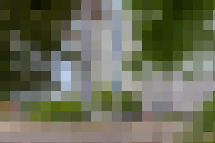 Hereweg 97 9 Groningen thumbnail 26
