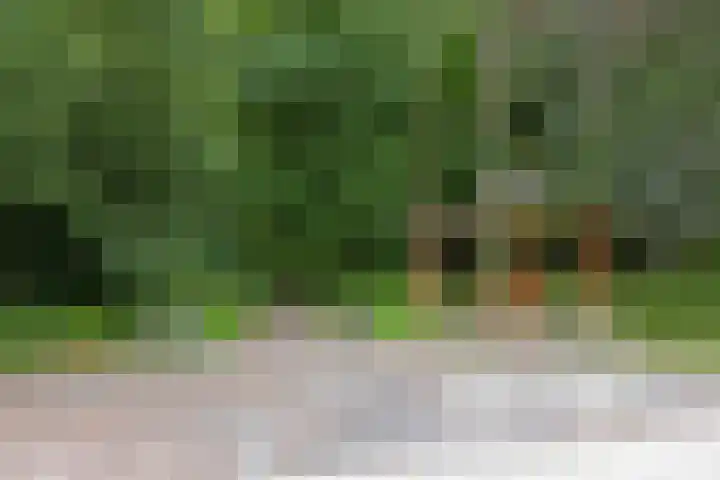 Hereweg 97 9 Groningen thumbnail 33