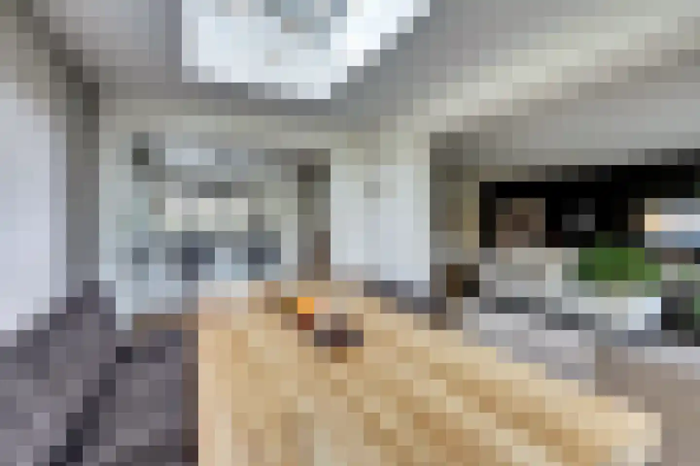 Herfst 120 Dronten thumbnail 16