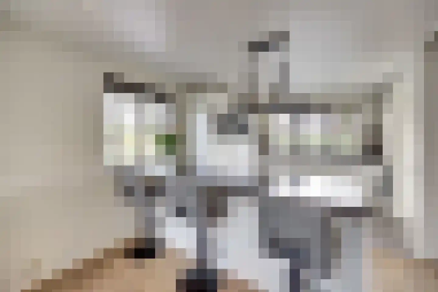 Herfst 120 Dronten thumbnail 17