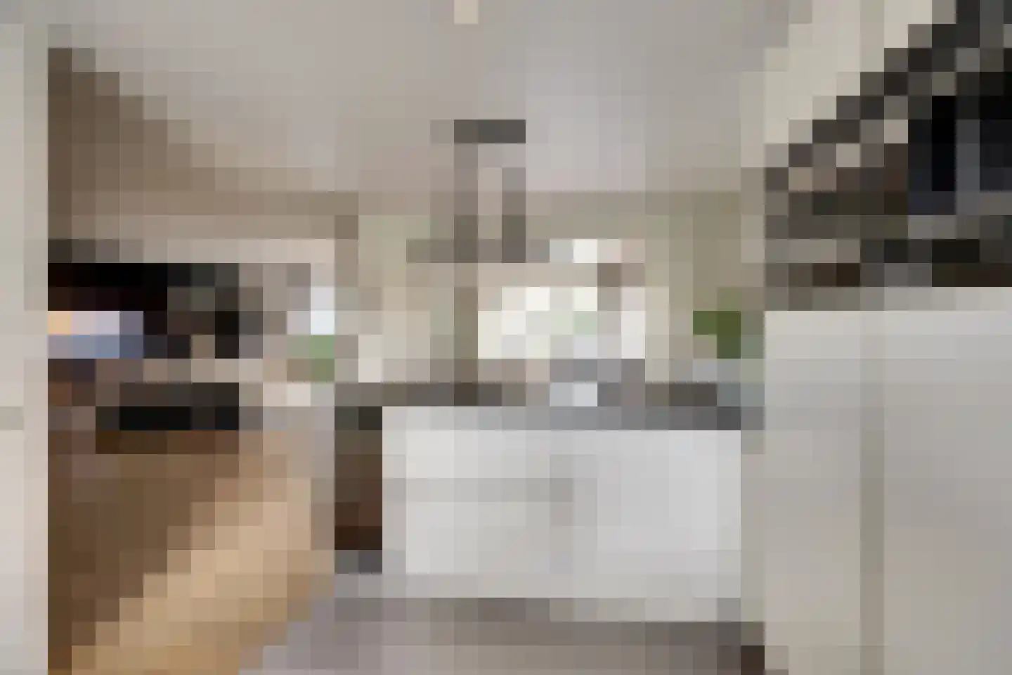 Herfst 120 Dronten thumbnail 19