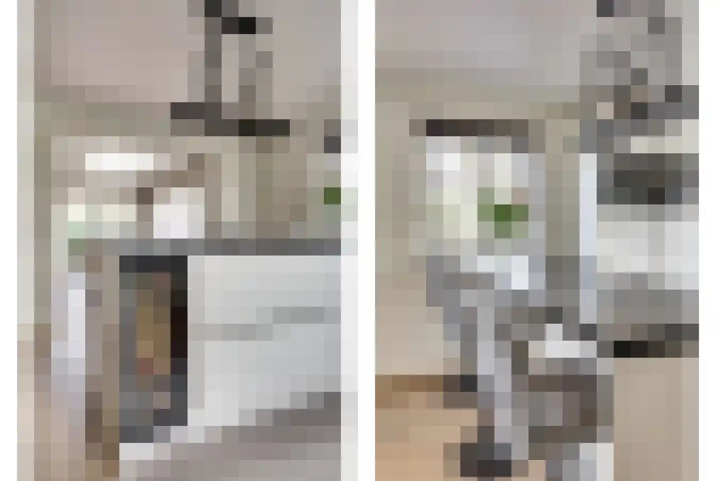 Herfst 120 Dronten thumbnail 20