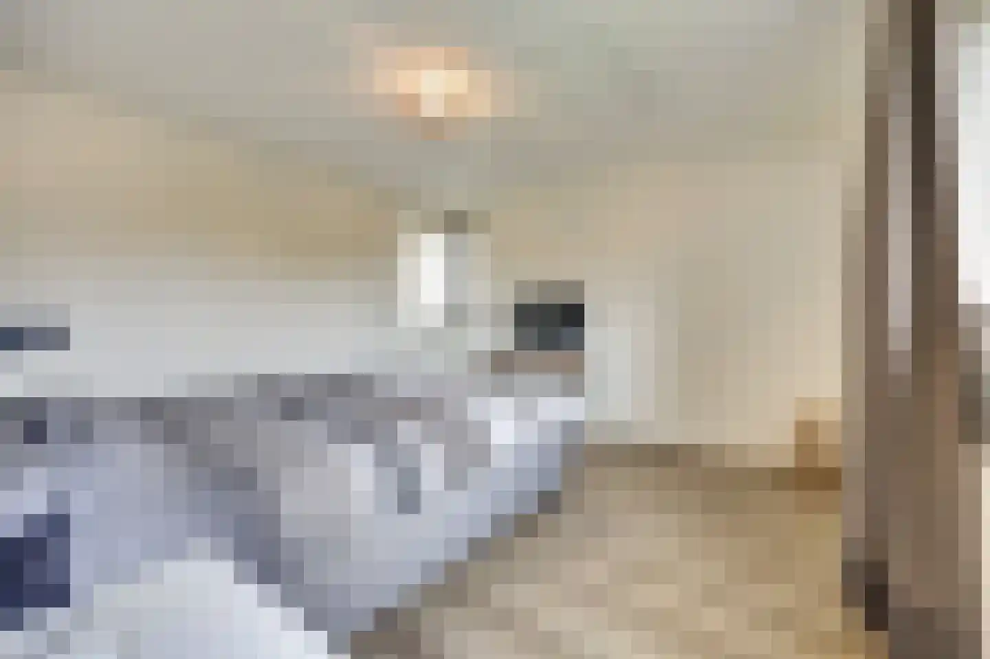 Herfst 120 Dronten thumbnail 28