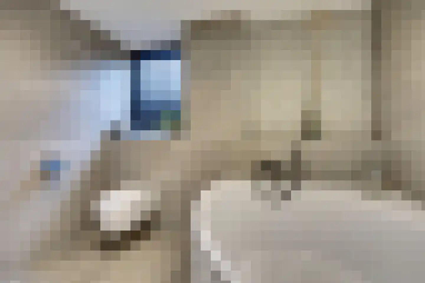 Herfst 120 Dronten thumbnail 34